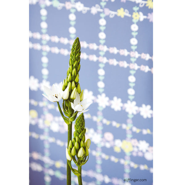 Eijffinger Rice "Everyday Magic" Tapete Floral kariert in dunkelblau