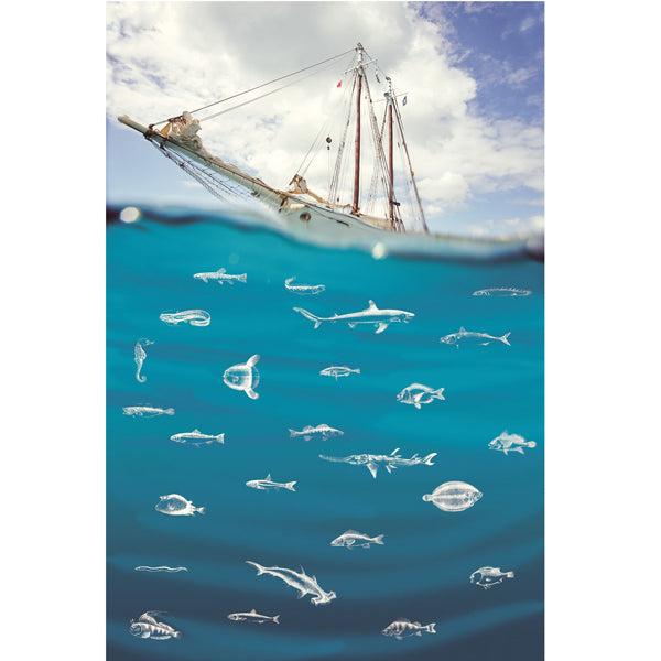 Eijffinger "Wallpower Junior" Wandbild Schiff und Fische in blau/creme 280x186cm