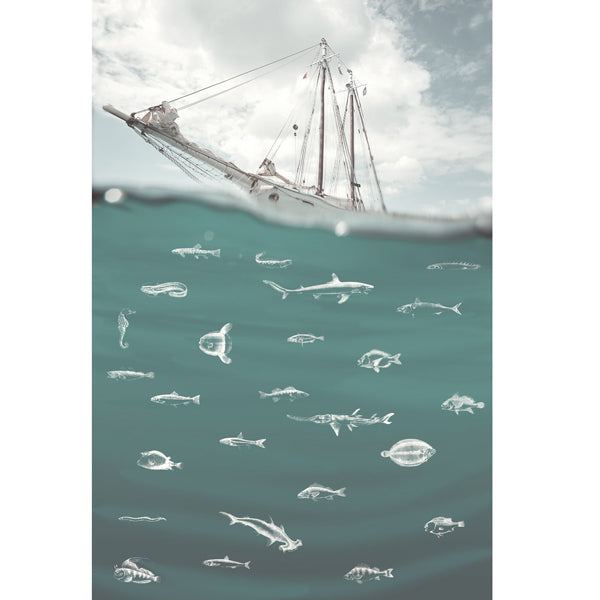 Eijffinger "Wallpower Junior" Wandbild Schiff und Fische in grün/creme 280x186cm