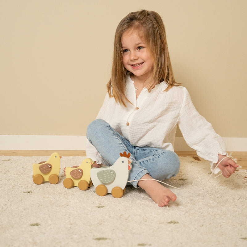 Little Dutch Nachziehtiere Hühner 'Little Farm'