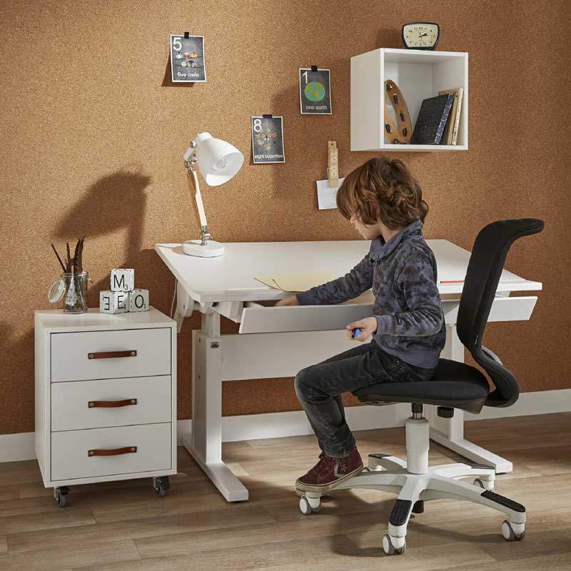 LIFETIME höhenverstellbarer Schreibtisch mit neigbarer Tischplatte in weiß oder white wash - Breite 120cm